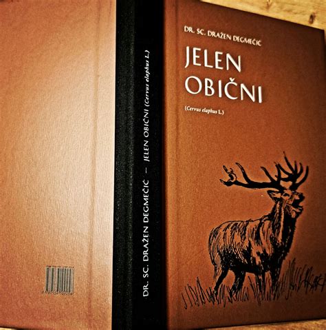 look and book red deer